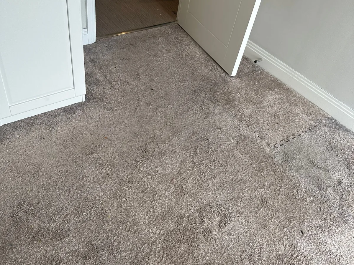 Dirty grey carpet before cleaning, with soiling and footprints