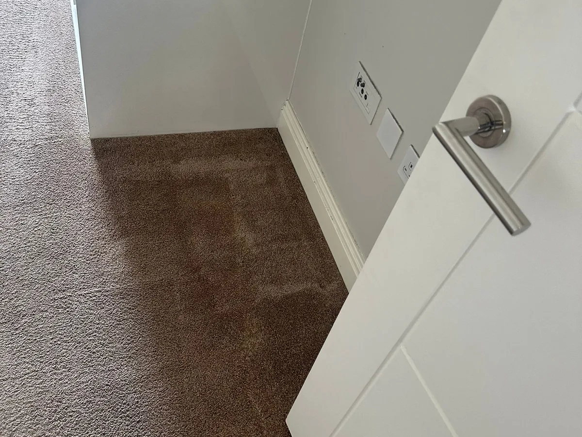 Carpet cleaning after