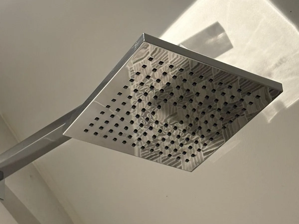 Shower head descale after