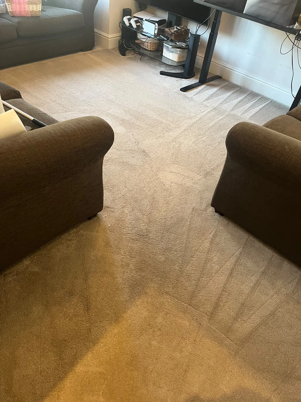 Living room carpet after cleaning